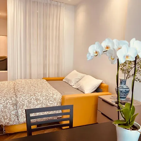 An Attractive Flat Near Jardin Du Luxembourg , Saint-germain